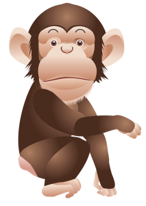 Monkey PNG-18740